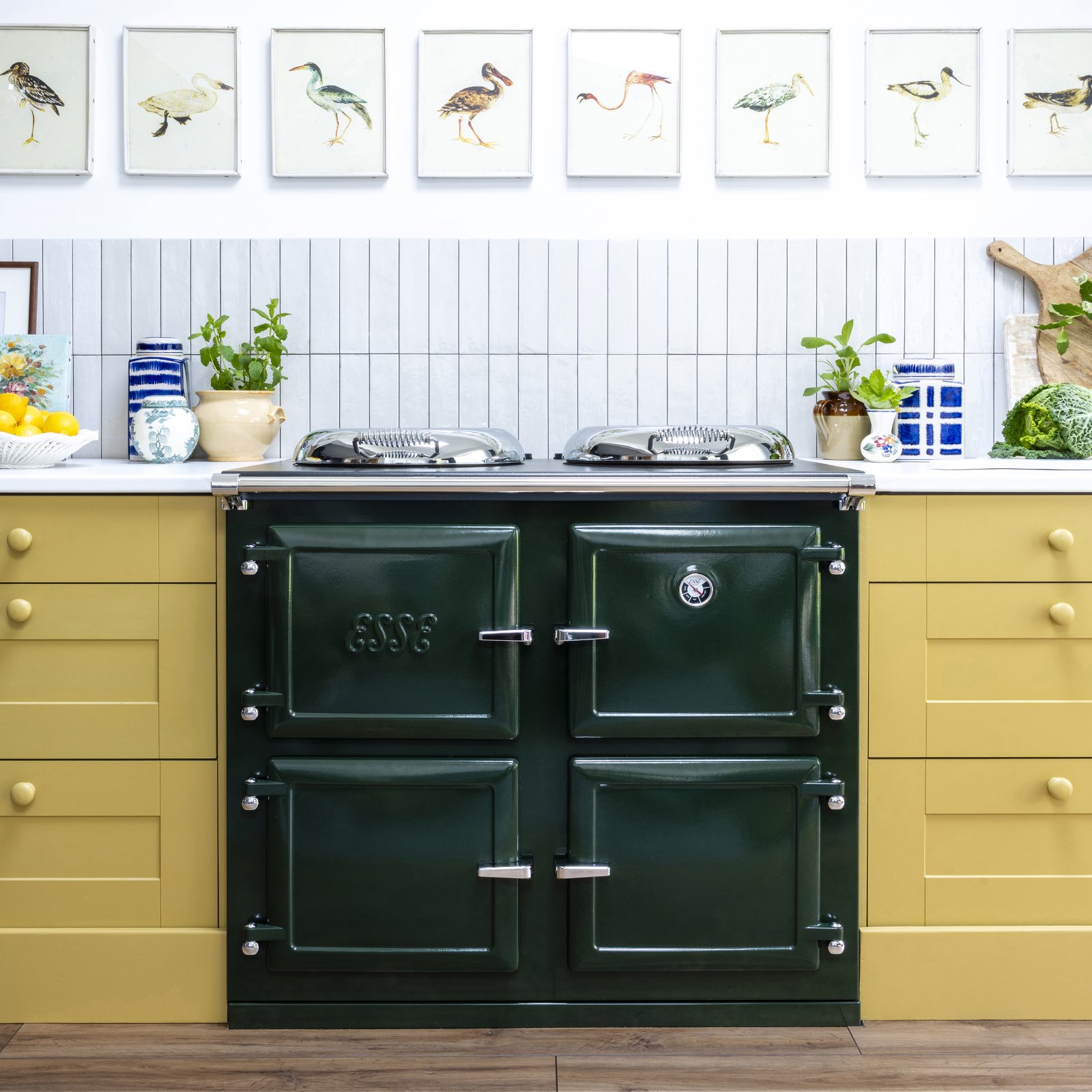 Esse range cooker