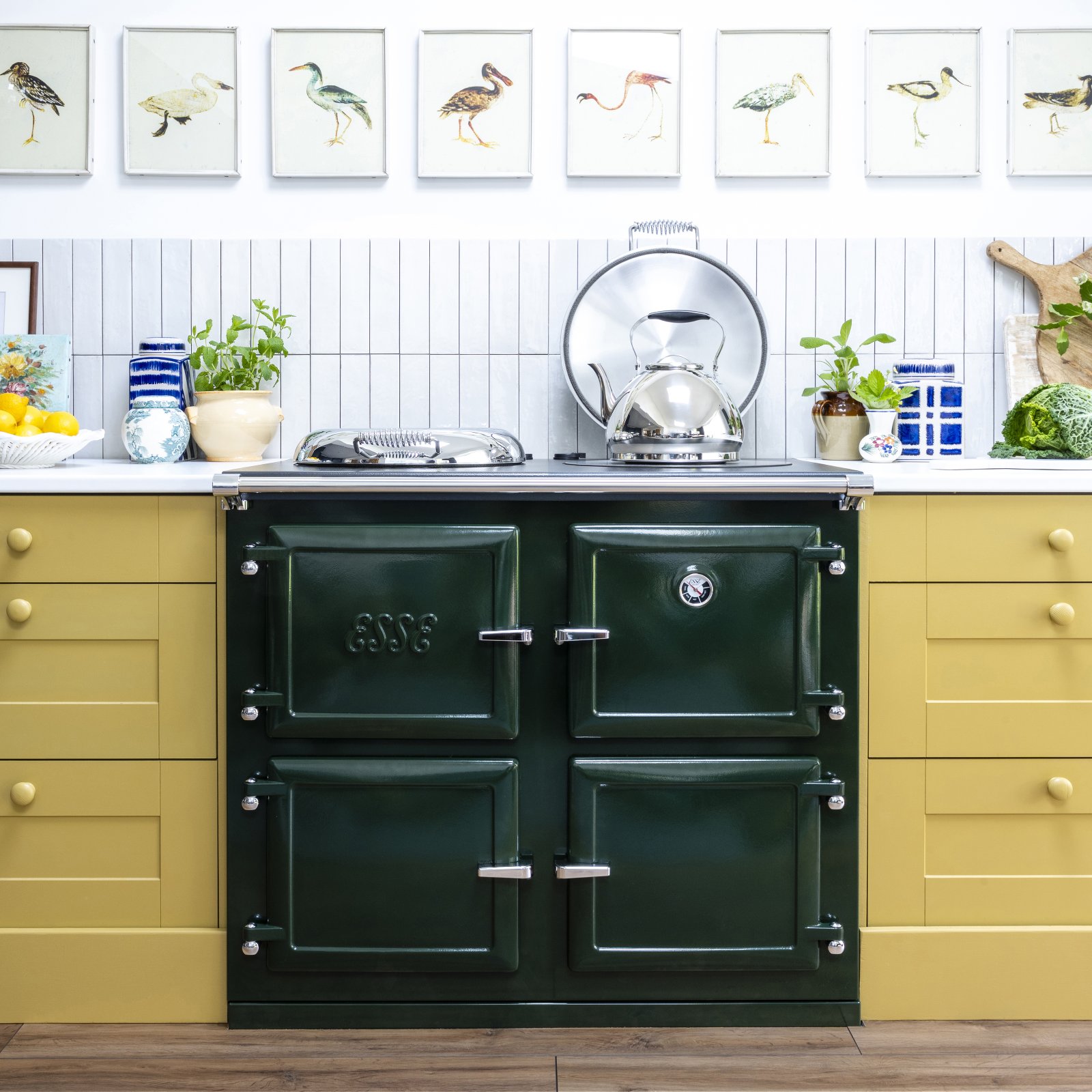 Esse range cooker